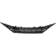 Purchase Top-Quality Grille Assembly - HY1200235 pa3