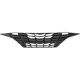 Purchase Top-Quality Grille Assembly - HY1200235 pa5