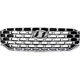 Purchase Top-Quality Grille Assembly - HY1200243 pa1