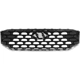Purchase Top-Quality Grille Assembly - HY1200243 pa4