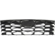 Purchase Top-Quality Grille Assembly - HY1200249 pa2