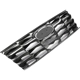 Purchase Top-Quality Grille Assembly - HY1200249 pa5