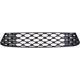 Purchase Top-Quality Grille Assembly - HY1200251 pa1