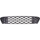 Purchase Top-Quality Grille Assembly - HY1200251 pa2