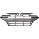 Purchase Top-Quality Grille Assembly - HY1200253 pa1