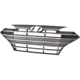 Purchase Top-Quality Grille Assembly - HY1200253 pa2