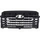 Purchase Top-Quality Grille Assembly - HY1200293 pa1