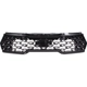 Purchase Top-Quality Grille Assembly - KI1200229 pa1