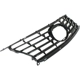 Purchase Top-Quality Grille Assembly - LX1200151 pa2