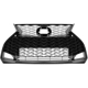 Purchase Top-Quality Grille Assembly - LX1200244 pa1