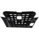 Purchase Top-Quality Grille Assembly - NI1200324 pa2