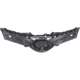 Purchase Top-Quality Grille Assembly - TO1200379C pa1