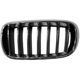 Purchase Top-Quality Grille Chrome - BM1200270 pa1