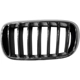 Purchase Top-Quality Grille Chrome - BM1200270 pa2