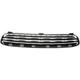 Purchase Top-Quality Grille by DORMAN/HELP - 45173 pa2
