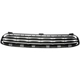 Purchase Top-Quality Grille by DORMAN/HELP - 45173 pa5