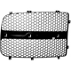Purchase Top-Quality Grille Filler - CH1201102 pa1