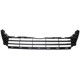 Purchase Top-Quality Grille Filler by SHERMAN PARTS - HOODYS18-99FQ-0 pa1