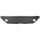 Purchase Top-Quality Grille Filler - LX1201106 pa1
