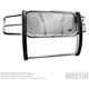 Purchase Top-Quality Garde de calandre par WESTIN - 57-3790 pa17