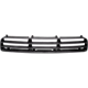Purchase Top-Quality Grille Insert by DORMAN/HELP - 45162 pa1