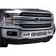Purchase Top-Quality Grille Insert by PUTCO - 82161 pa2