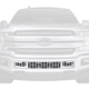 Purchase Top-Quality Grille Insert by PUTCO - 82161 pa8