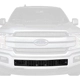 Purchase Top-Quality Grille Insert by PUTCO - 83161 pa5