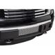 Purchase Top-Quality Grille Insert by PUTCO - 84182 pa3