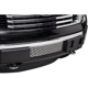 Purchase Top-Quality Grille Insert by PUTCO - 84182 pa7