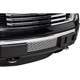 Purchase Top-Quality Grille Insert by PUTCO - 84182 pa8