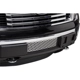 Purchase Top-Quality Grille Insert by PUTCO LIGHTING - 84182 pa2