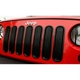 Purchase Top-Quality Grille Insert by RUGGED RIDGE - 11401.30 pa4