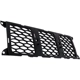 Purchase Top-Quality Grille Molding - CH1210123 pa6