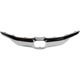 Purchase Top-Quality Grille Molding - HO1210156 pa6