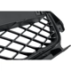 Purchase Top-Quality Grille Surround - AC1202100 pa11