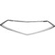 Purchase Top-Quality Grille Surround - AC1202114 pa2