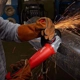 Purchase Top-Quality Grinder by MILWAUKEE - 6124-30 pa2