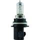 Purchase Top-Quality HELLA - 9007P50 - Halogen Bulb pa1