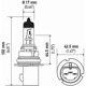 Purchase Top-Quality HELLA - 9007P50 - Halogen Bulb pa2