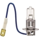 Purchase Top-Quality Halogen Bulb by HELLA - H3 24V HD pa1