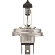 Purchase Top-Quality Halogen Bulb by HELLA - H4 P45T pa1