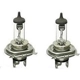 Purchase Top-Quality HELLA - H4 - Halogen Bulb pa2