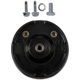 Purchase Top-Quality Handle Bezel by DORMAN/HELP - 92951 pa2