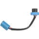 Purchase Top-Quality BLUE STREAK (HYGRADE MOTOR) - LWH108 - Headlight Wiring Harness pa1