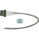 Purchase Top-Quality Headlamp Connector by BLUE STREAK (HYGRADE MOTOR) - S1339 pa1