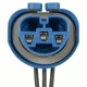 Purchase Top-Quality BLUE STREAK (HYGRADE MOTOR) - S525 - Headlamp Connector pa11