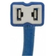 Purchase Top-Quality Connecteur lumière de plafonnier par BLUE STREAK (HYGRADE MOTOR) - F90007 pa1