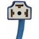 Purchase Top-Quality Connecteur lumière de plafonnier par BLUE STREAK (HYGRADE MOTOR) - F90011 pa4