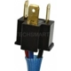 Purchase Top-Quality Connecteur lumière de plafonnier par BLUE STREAK (HYGRADE MOTOR) - F90011 pa6